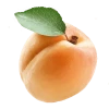 Абрикос