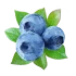 Лохина