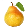 Груша