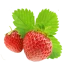 Полуниця